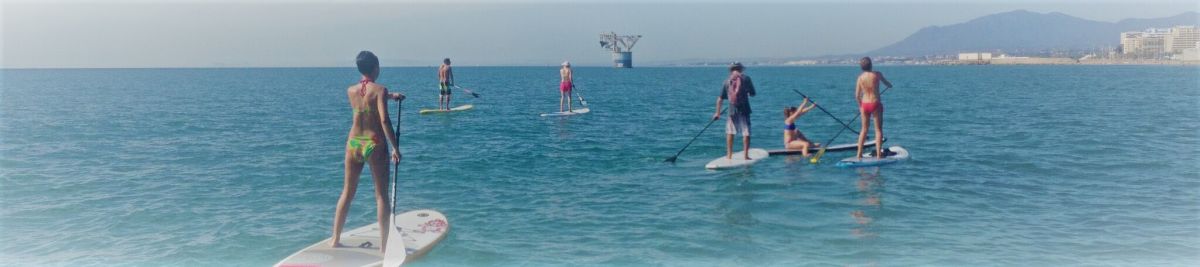 Paddle surf boards for beginners