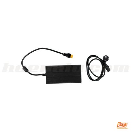 Duotone Electric Battery Charger Adapter