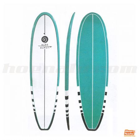 Radz Hawaii Surf Evo Epoxy 6'4"x22"