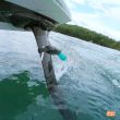 Foil Drive Universal Mini Pod