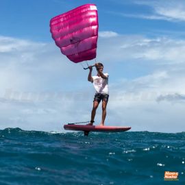 Duotone Stash Parawing Pink